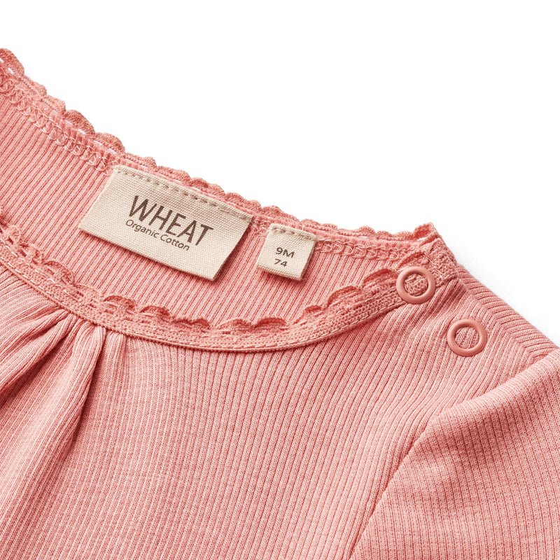 Wheat rib body L/S LOTTA - rosette-Body-Wheat-Ollifant.dk