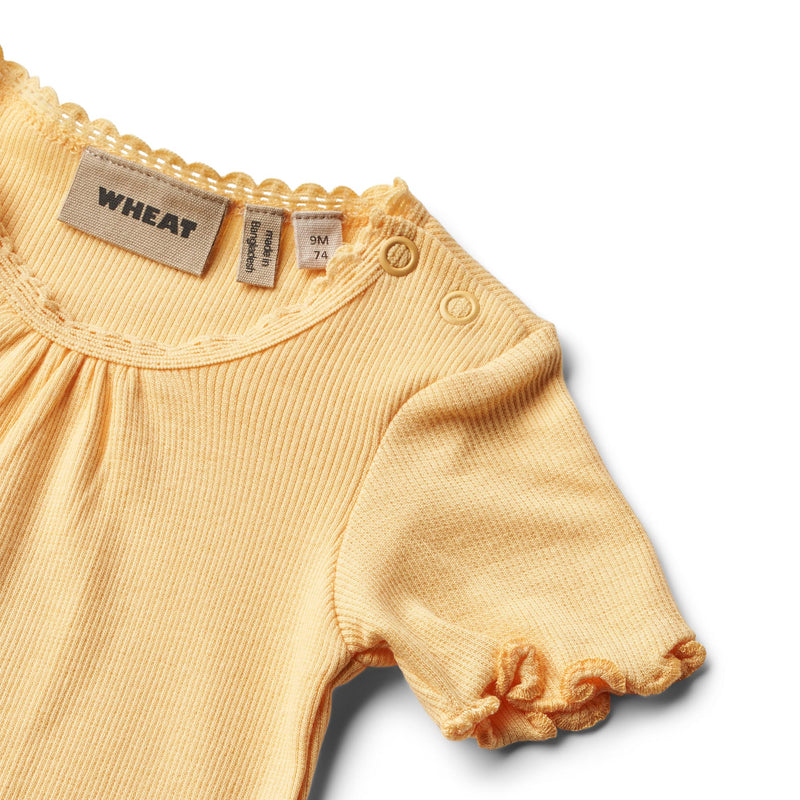 Wheat rib body S/S EDNA - pale apricot-Body-Wheat-Ollifant.dk