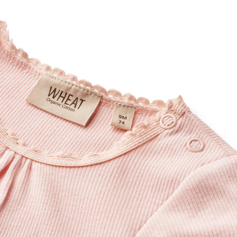 Wheat rib body S/S EDNA - rose ballet-Body-Wheat-Ollifant.dk